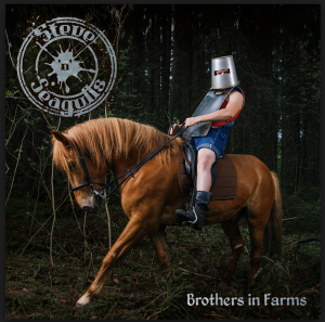 Steve'n'Seagulls – Brothers in Farms