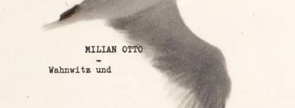 Milian Otto – Wahnwitz und Gelegenheit
