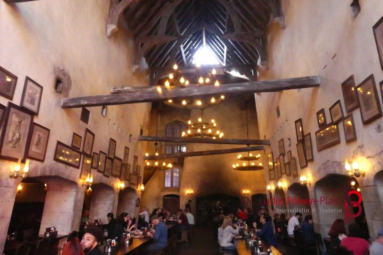 Universal Studios Orlando © Polwin-Plass_80275