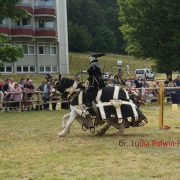 Fotostrecke: Catzenelnbogener Ritterspiele 2023