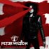 PETER WILSON – Freedom’s Door